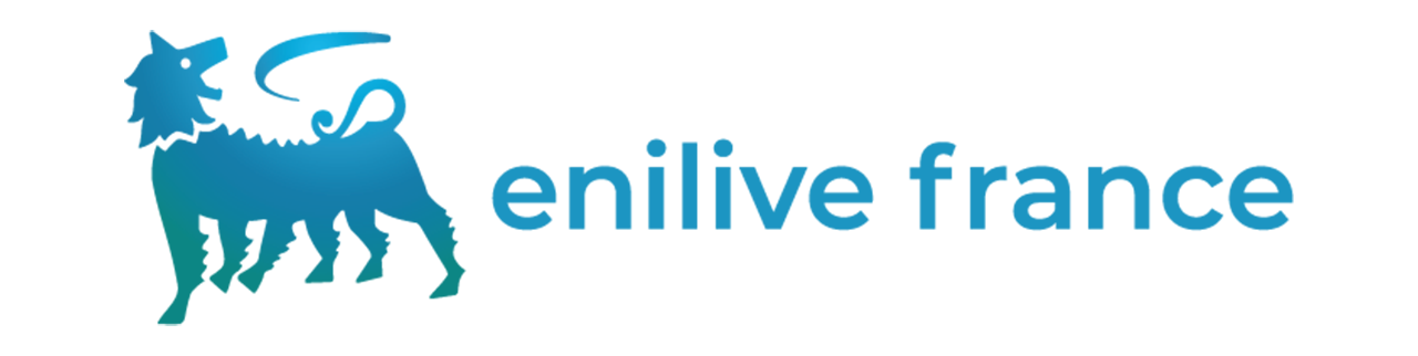 Logo_enilive_france_station_services